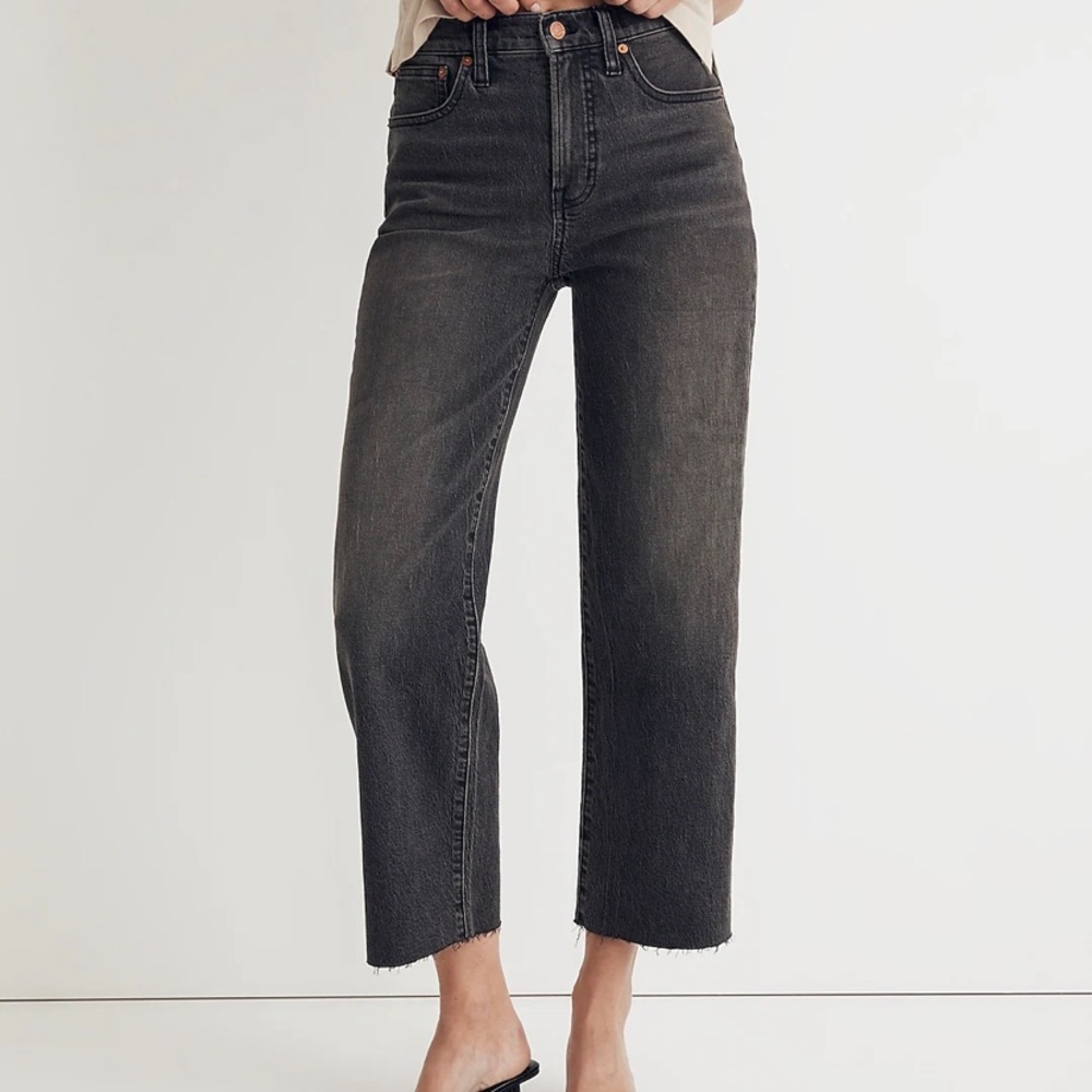 Madewell The Perfect Wide-Leg Jean 25